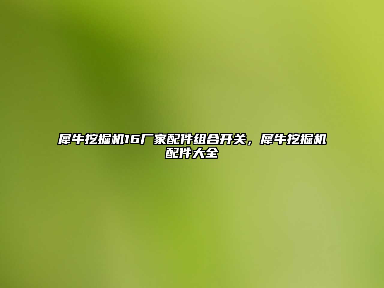 犀牛挖掘機16廠家配件組合開關，犀牛挖掘機配件大全