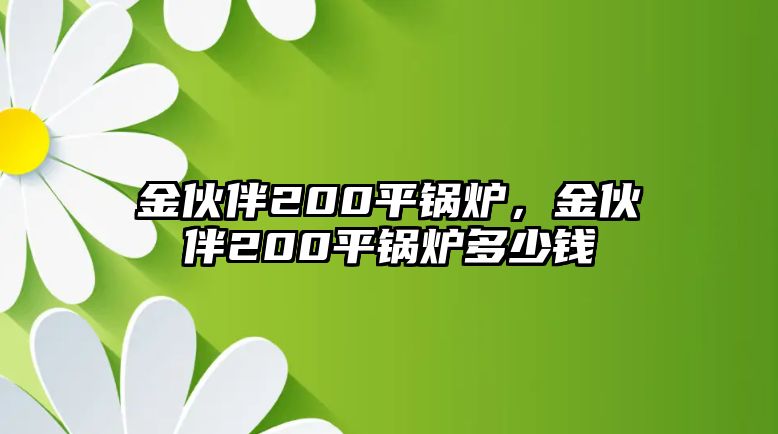 金伙伴200平鍋爐，金伙伴200平鍋爐多少錢