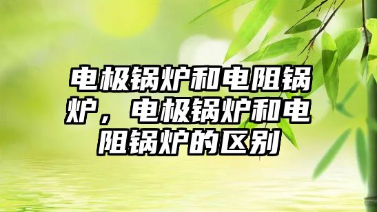 電極鍋爐和電阻鍋爐，電極鍋爐和電阻鍋爐的區別