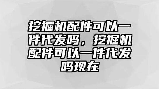 挖掘機配件可以一件代發嗎，挖掘機配件可以一件代發嗎現在