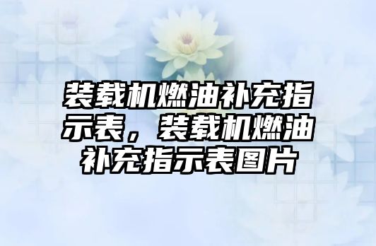 裝載機(jī)燃油補(bǔ)充指示表，裝載機(jī)燃油補(bǔ)充指示表圖片