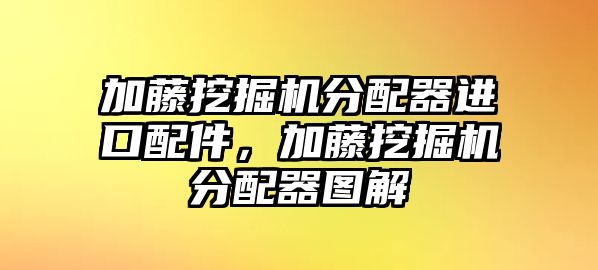 加藤挖掘機分配器進(jìn)口配件，加藤挖掘機分配器圖解