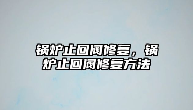 鍋爐止回閥修復，鍋爐止回閥修復方法