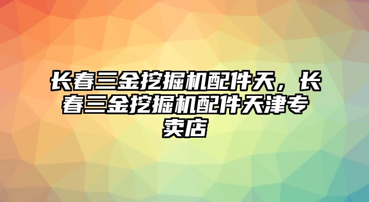 長春三金挖掘機配件天，長春三金挖掘機配件天津專賣店