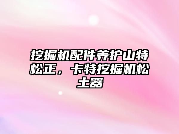 挖掘機配件養(yǎng)護山特松正，卡特挖掘機松土器