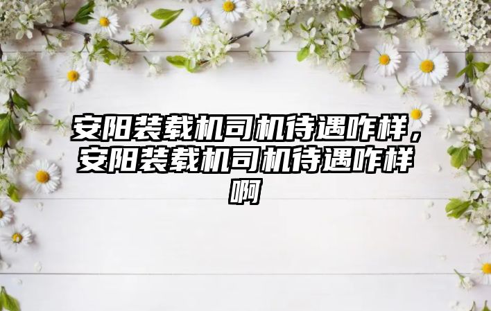 安陽裝載機司機待遇咋樣，安陽裝載機司機待遇咋樣啊