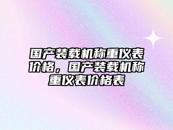 國產裝載機稱重儀表價格，國產裝載機稱重儀表價格表