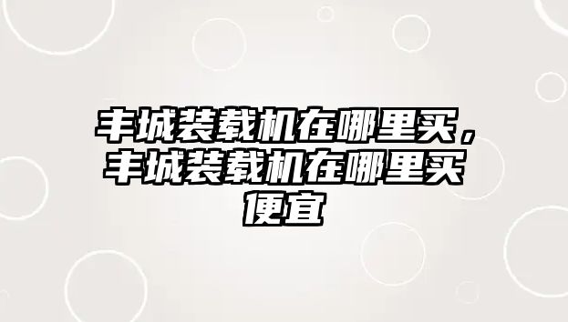 豐城裝載機(jī)在哪里買(mǎi)，豐城裝載機(jī)在哪里買(mǎi)便宜