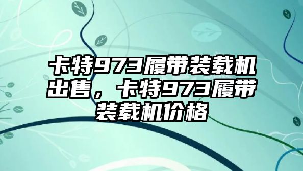 卡特973履帶裝載機出售，卡特973履帶裝載機價格