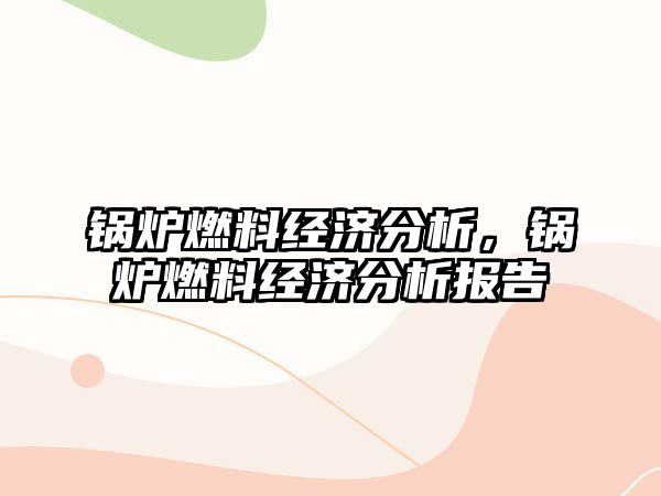 鍋爐燃料經濟分析，鍋爐燃料經濟分析報告