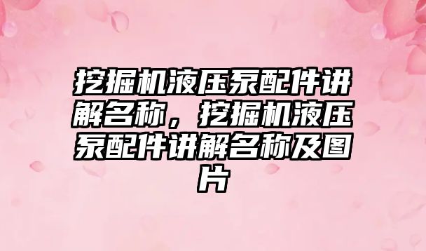 挖掘機液壓泵配件講解名稱，挖掘機液壓泵配件講解名稱及圖片