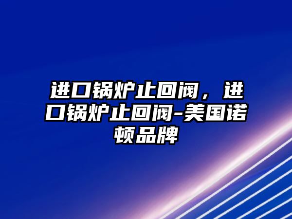 進(jìn)口鍋爐止回閥，進(jìn)口鍋爐止回閥-美國(guó)諾頓品牌