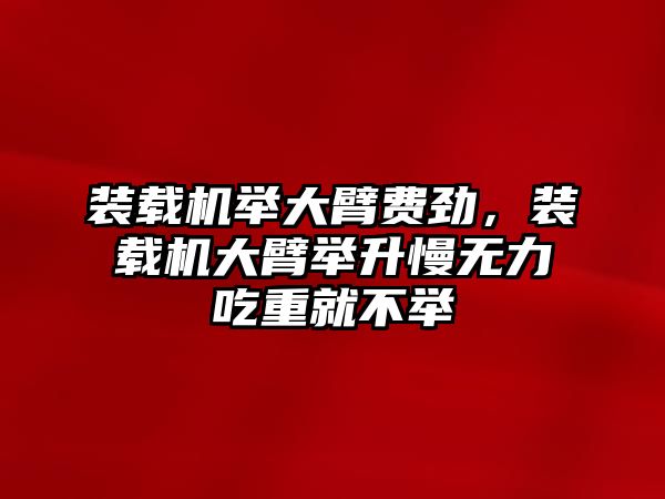 裝載機舉大臂費勁，裝載機大臂舉升慢無力吃重就不舉