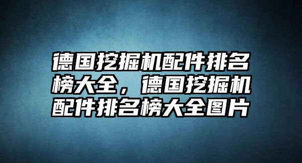 德國挖掘機配件排名榜大全，德國挖掘機配件排名榜大全圖片