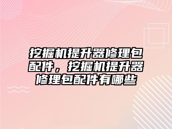 挖掘機提升器修理包配件，挖掘機提升器修理包配件有哪些