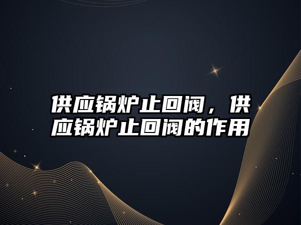 供應(yīng)鍋爐止回閥，供應(yīng)鍋爐止回閥的作用