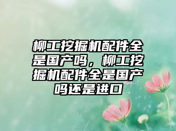 柳工挖掘機配件全是國產(chǎn)嗎，柳工挖掘機配件全是國產(chǎn)嗎還是進口