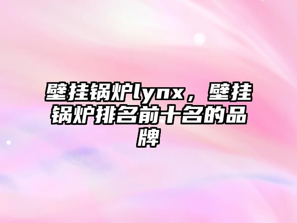 壁掛鍋爐lynx，壁掛鍋爐排名前十名的品牌