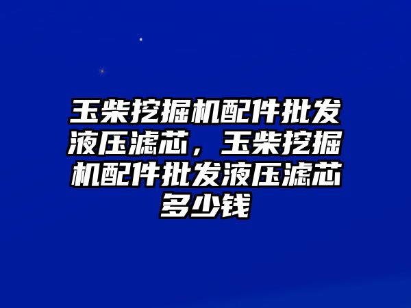 玉柴挖掘機配件批發液壓濾芯，玉柴挖掘機配件批發液壓濾芯多少錢