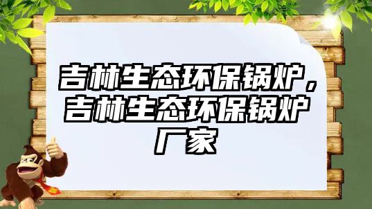 吉林生態環保鍋爐，吉林生態環保鍋爐廠家