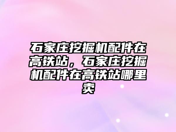 石家莊挖掘機配件在高鐵站，石家莊挖掘機配件在高鐵站哪里賣