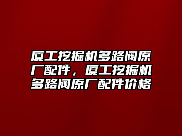 廈工挖掘機多路閥原廠配件，廈工挖掘機多路閥原廠配件價格