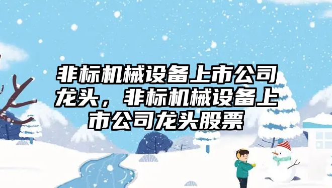 非標機械設備上市公司龍頭，非標機械設備上市公司龍頭股票