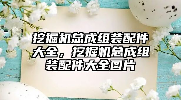 挖掘機總成組裝配件大全，挖掘機總成組裝配件大全圖片