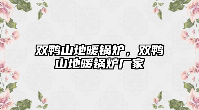 雙鴨山地暖鍋爐，雙鴨山地暖鍋爐廠家