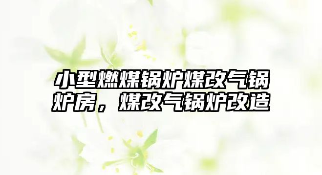 小型燃煤鍋爐煤改氣鍋爐房，煤改氣鍋爐改造