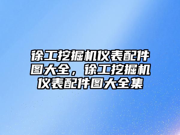 徐工挖掘機儀表配件圖大全，徐工挖掘機儀表配件圖大全集