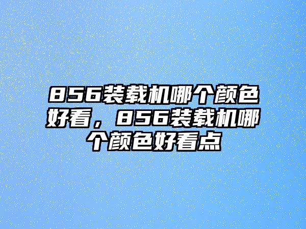 856裝載機哪個顏色好看，856裝載機哪個顏色好看點