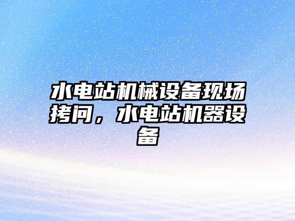 水電站機械設備現場拷問，水電站機器設備