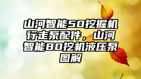 山河智能50挖掘機行走泵配件，山河智能80挖機液壓泵圖解