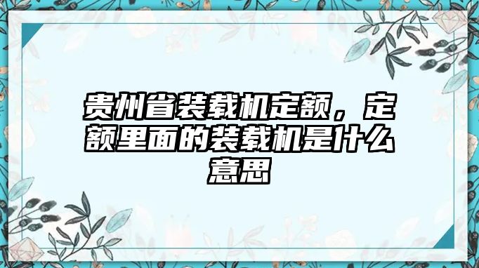 貴州省裝載機定額，定額里面的裝載機是什么意思