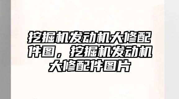 挖掘機發動機大修配件圖，挖掘機發動機大修配件圖片