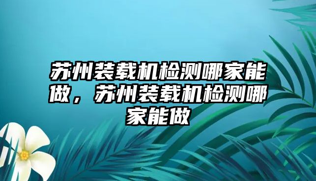 蘇州裝載機(jī)檢測(cè)哪家能做，蘇州裝載機(jī)檢測(cè)哪家能做