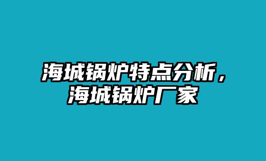 海城鍋爐特點分析，海城鍋爐廠家