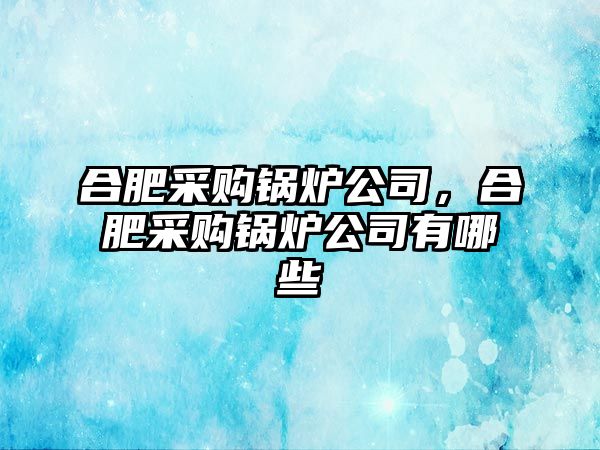 合肥采購鍋爐公司，合肥采購鍋爐公司有哪些