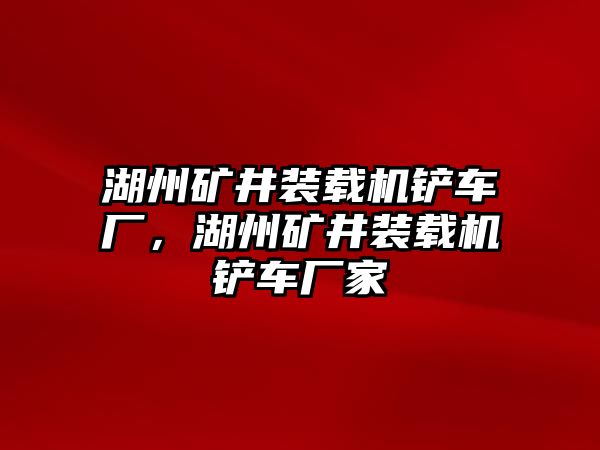 湖州礦井裝載機(jī)鏟車廠，湖州礦井裝載機(jī)鏟車廠家