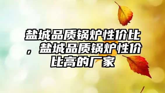 鹽城品質鍋爐性價比，鹽城品質鍋爐性價比高的廠家