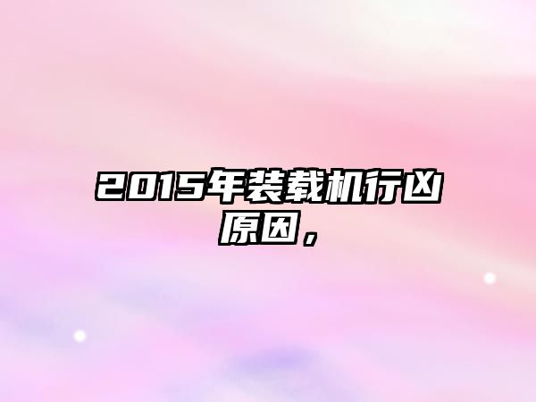 2015年裝載機行兇原因，