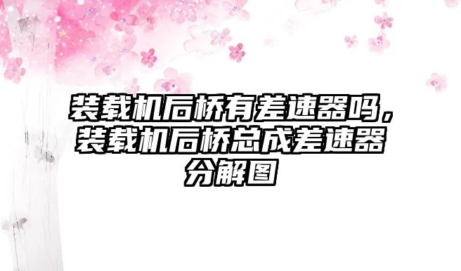 裝載機(jī)后橋有差速器嗎，裝載機(jī)后橋總成差速器分解圖