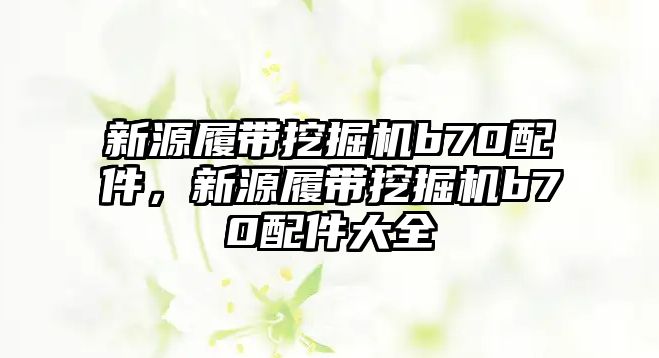 新源履帶挖掘機b70配件，新源履帶挖掘機b70配件大全