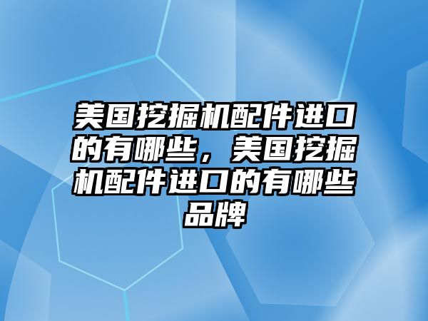 美國挖掘機配件進口的有哪些，美國挖掘機配件進口的有哪些品牌