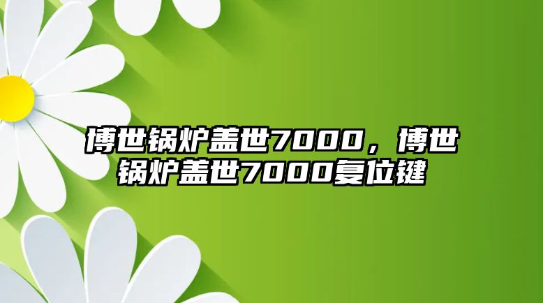 博世鍋爐蓋世7000，博世鍋爐蓋世7000復(fù)位鍵