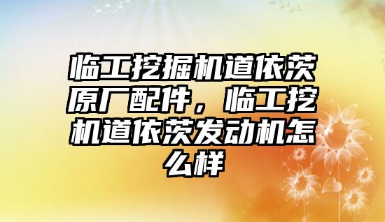 臨工挖掘機道依茨原廠配件，臨工挖機道依茨發動機怎么樣