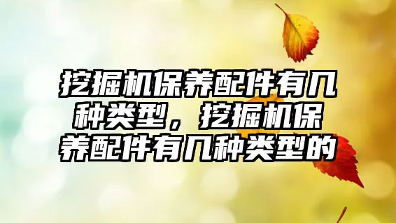 挖掘機保養(yǎng)配件有幾種類型，挖掘機保養(yǎng)配件有幾種類型的