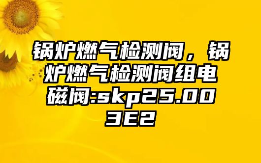 鍋爐燃氣檢測閥，鍋爐燃氣檢測閥組電磁閥:skp25.003E2