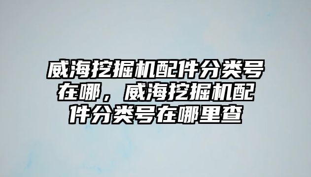 威海挖掘機配件分類號在哪，威海挖掘機配件分類號在哪里查